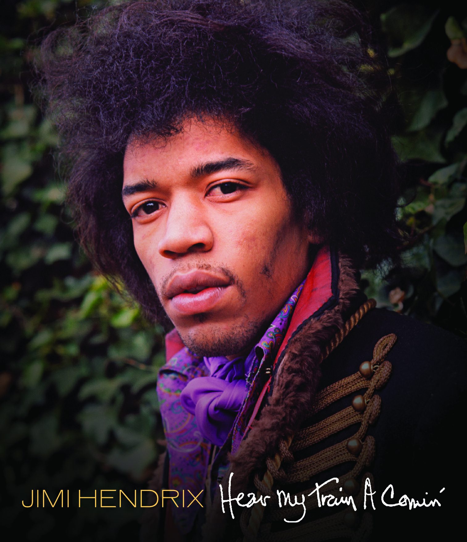 Jimi Hendrix - Hear My Train a Comin' Cover